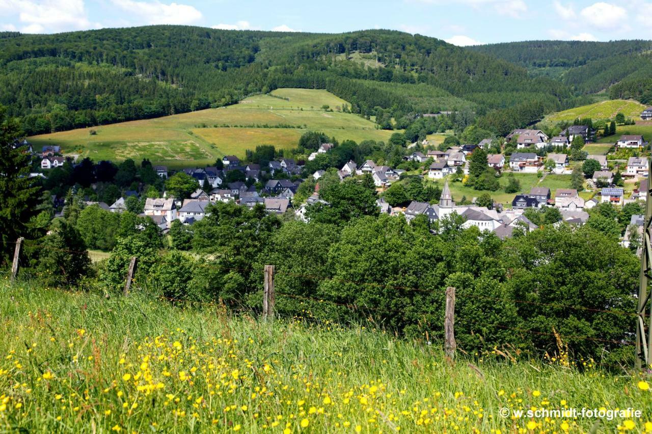 Apartmán Haus Sonnenhuegel Winterberg Exteriér fotografie